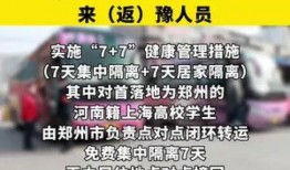 河南时事爆料最新消息新闻,聚焦民生热点，揭秘社会现象